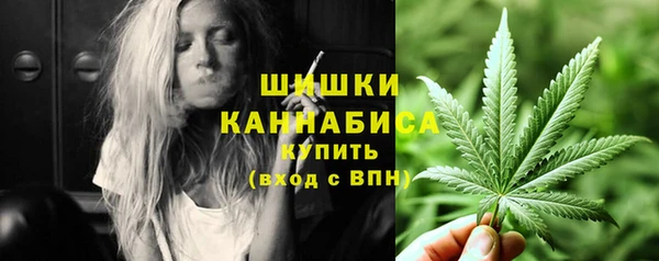 гашик Богородск
