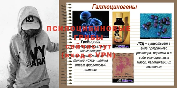 таблы Белокуриха